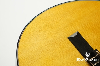 00-Nylon w/FISHMAN Matrix VT Enhance